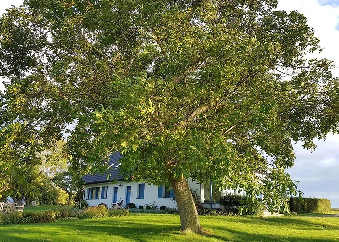 Wohnung-d Апартаменты